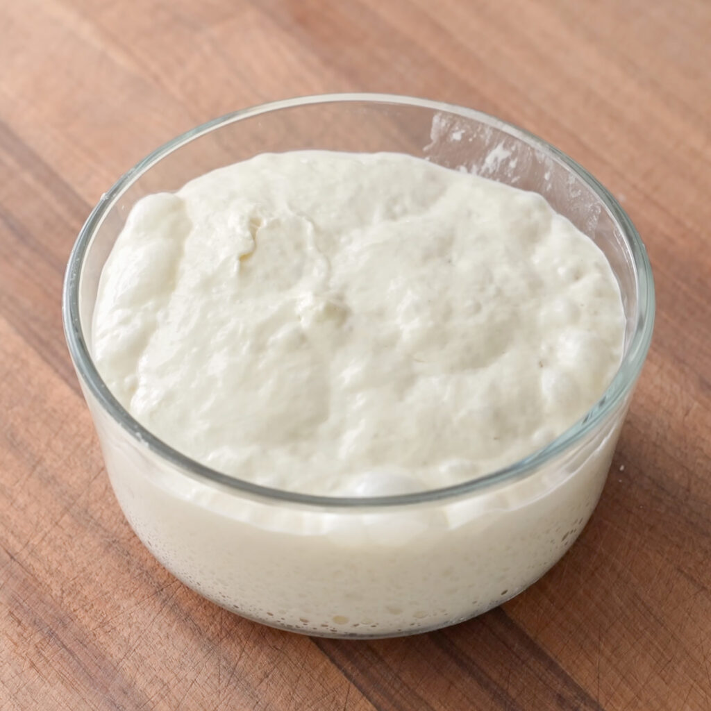 24 hour fermented poolish in glass container