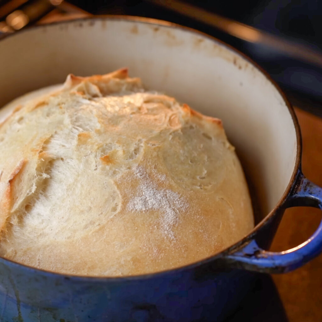 half baked bread boule in blue dutch oven