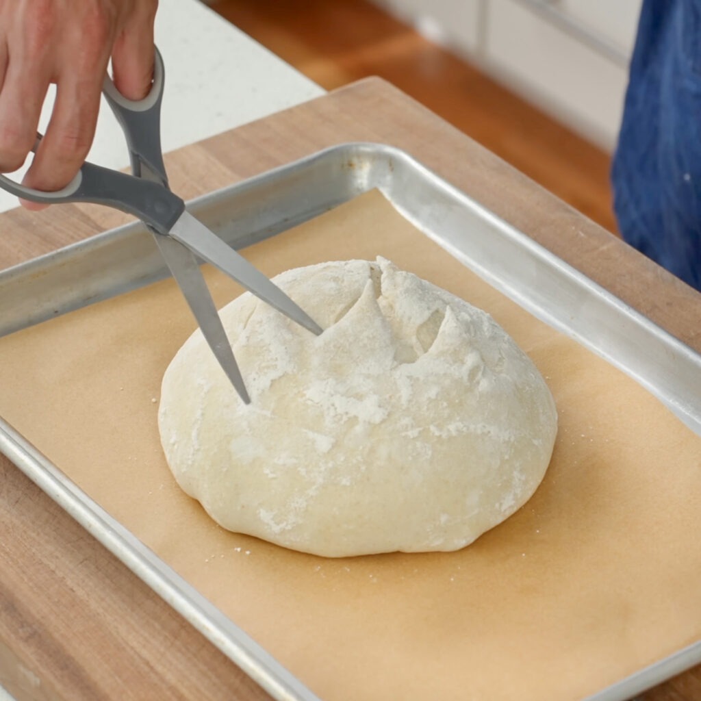 cutting top of shaped sourdough with scissors