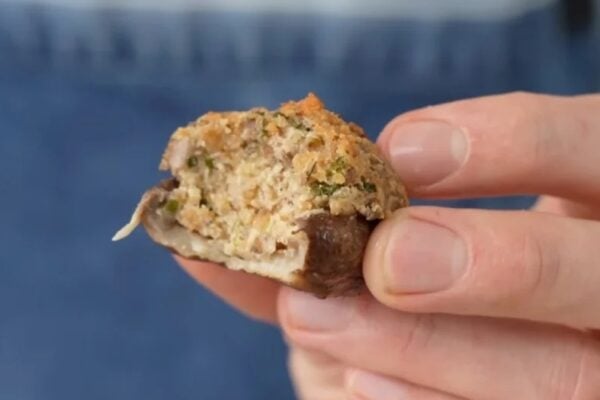 hand holding stuffed mushroom with blue background