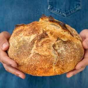 sourdough bread boule