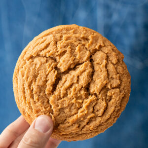peanut butter cookie with blue background