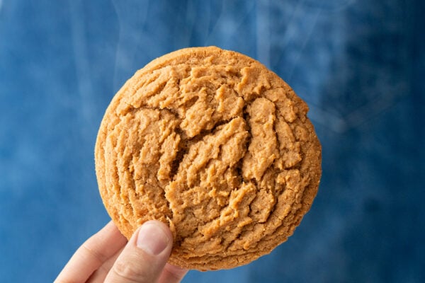 peanut butter cookie with blue background