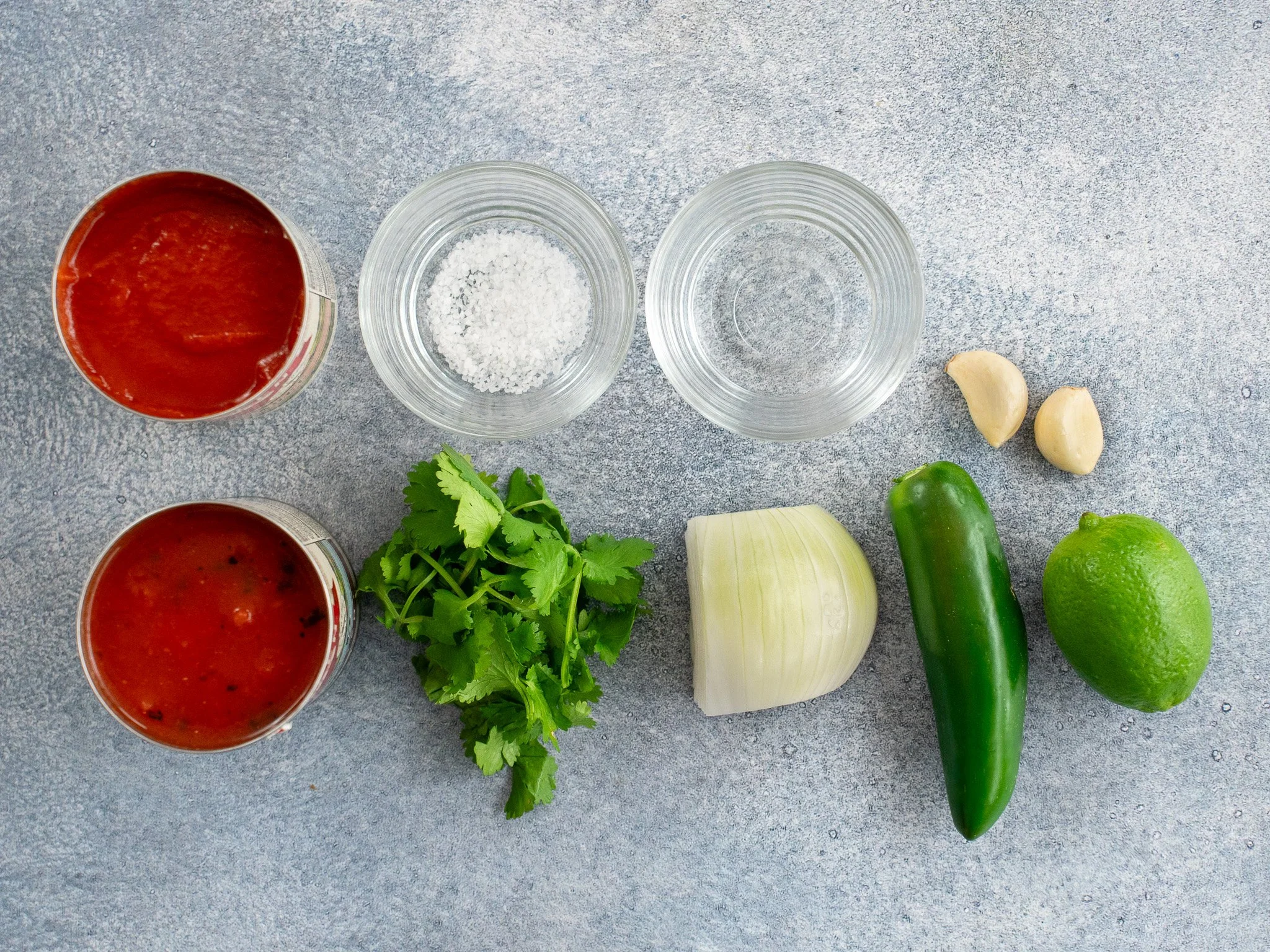 salsa ingredients on grey background