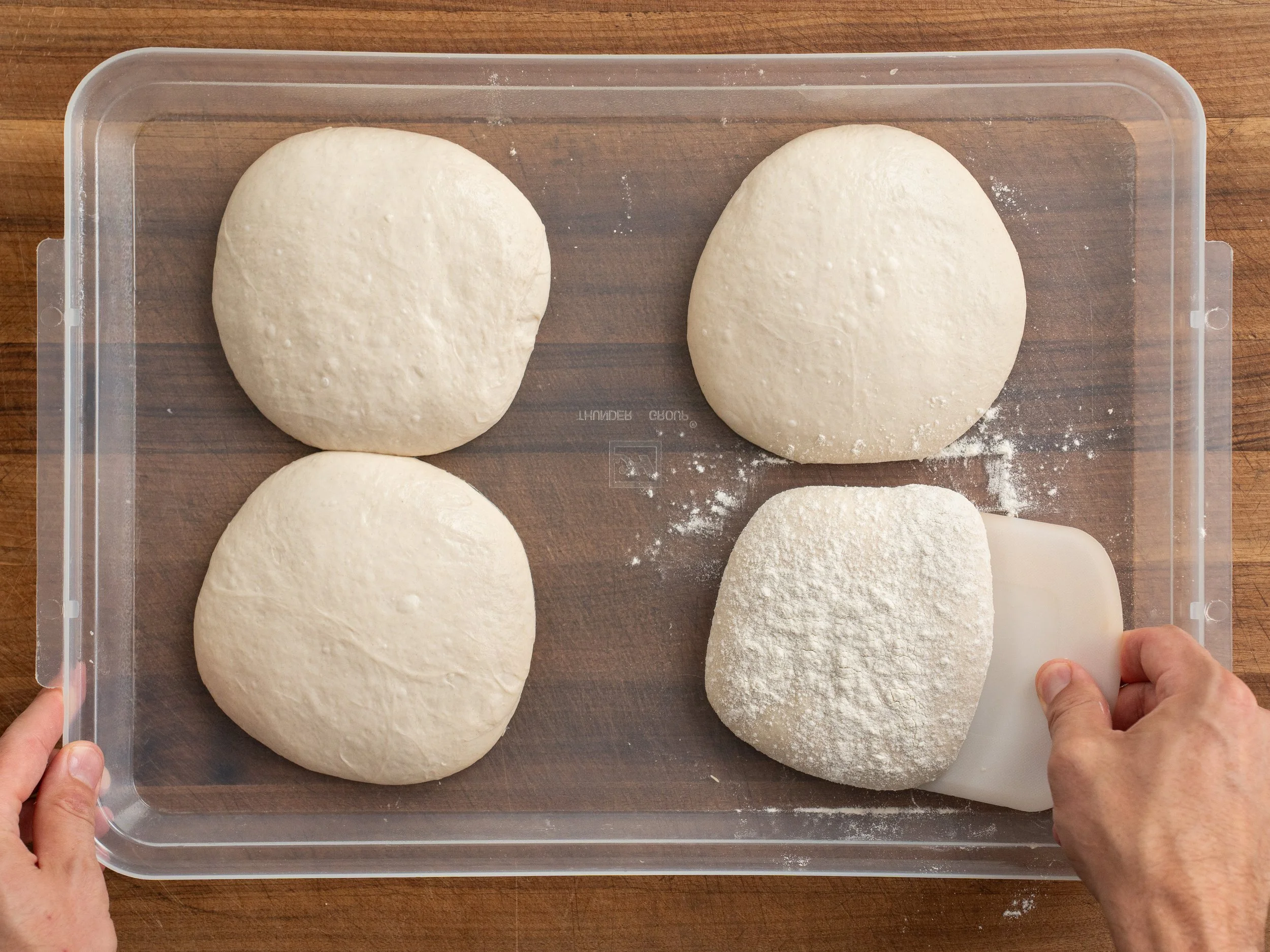 four balls of pizza dough on plastic tray