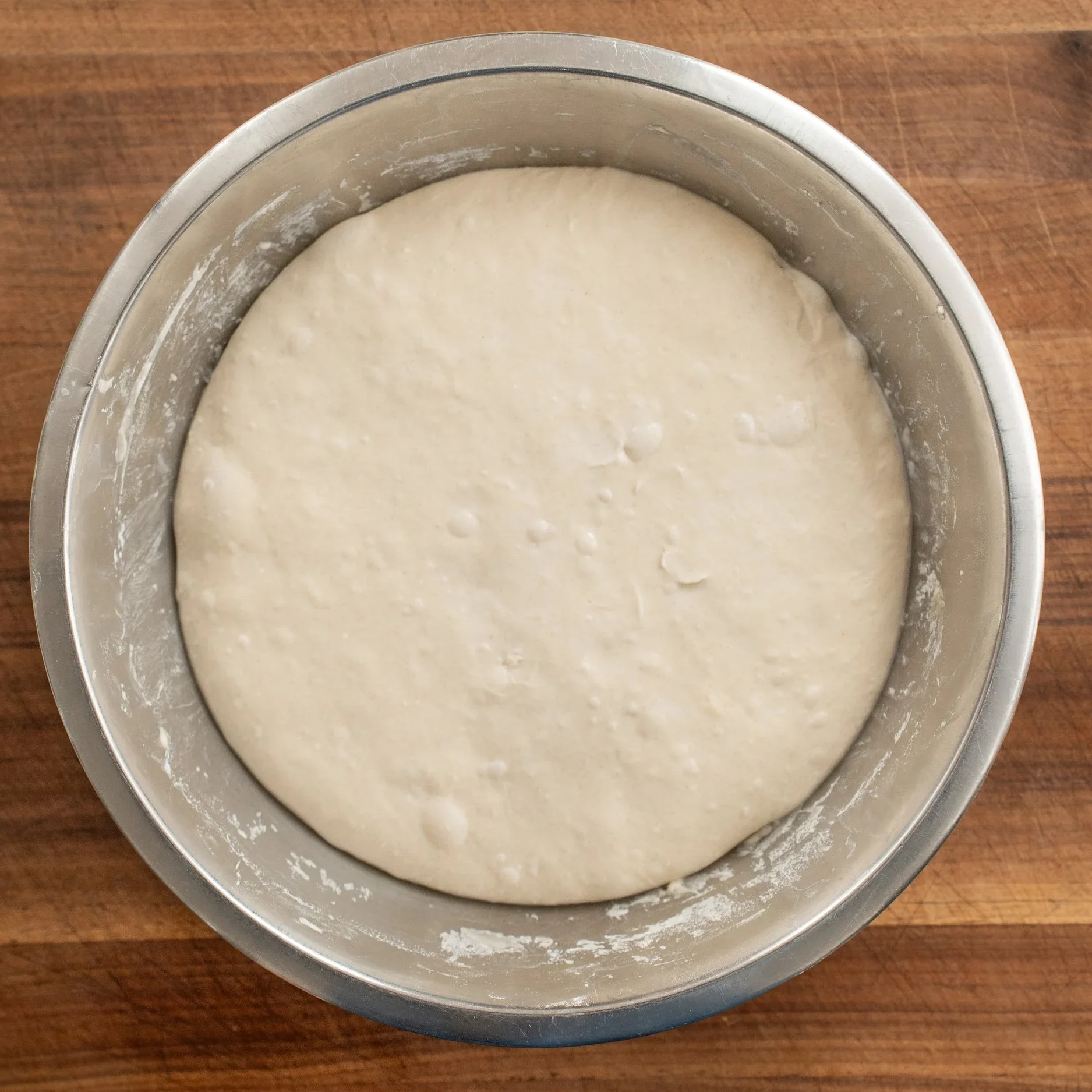 fermented pizza dough in metal bowl