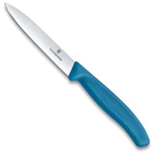 paring knife with blue plastic handle