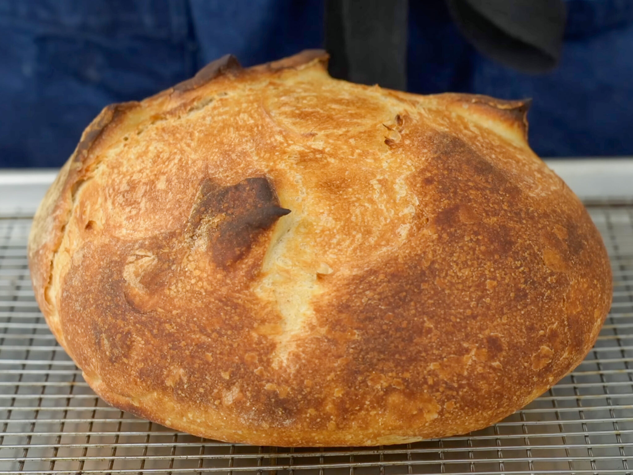 sourdough boule on wire rack