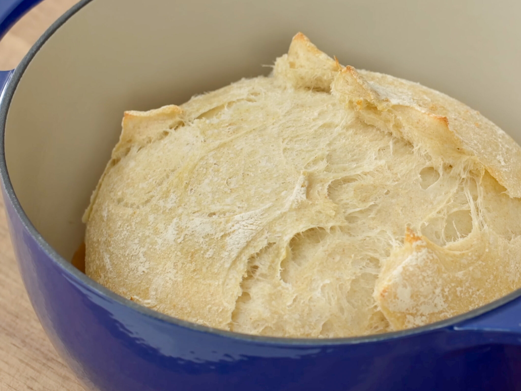 partially baked sourdough boule in blue dutch oven